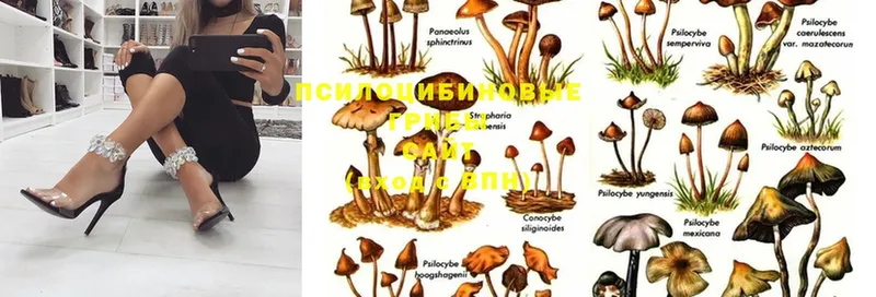 цены наркотик  Буинск  Галлюциногенные грибы MAGIC MUSHROOMS 